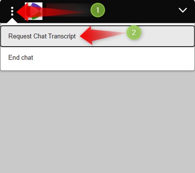 EndNote: What is new in chat support?